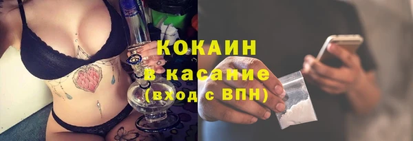 гашик Алексин
