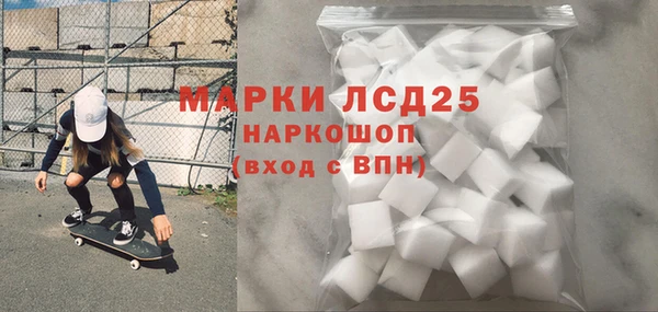 гашик Алексин