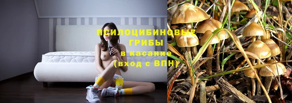 амф Абаза