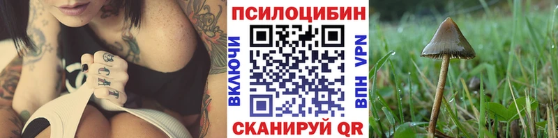 Псилоцибиновые грибы Cubensis  закладки  Морозовск 